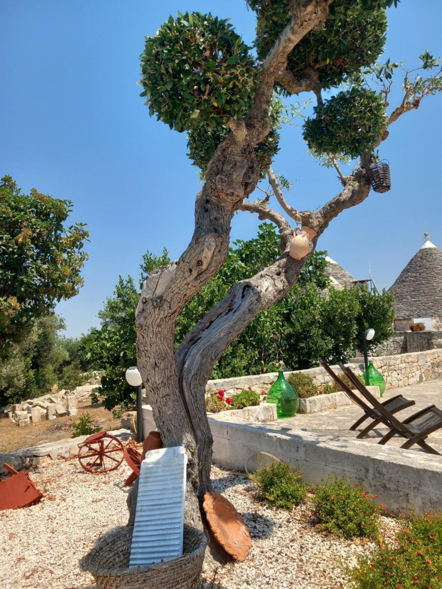 Trullo Monte Del Sale Konuk evi Alberobello Dış mekan fotoğraf