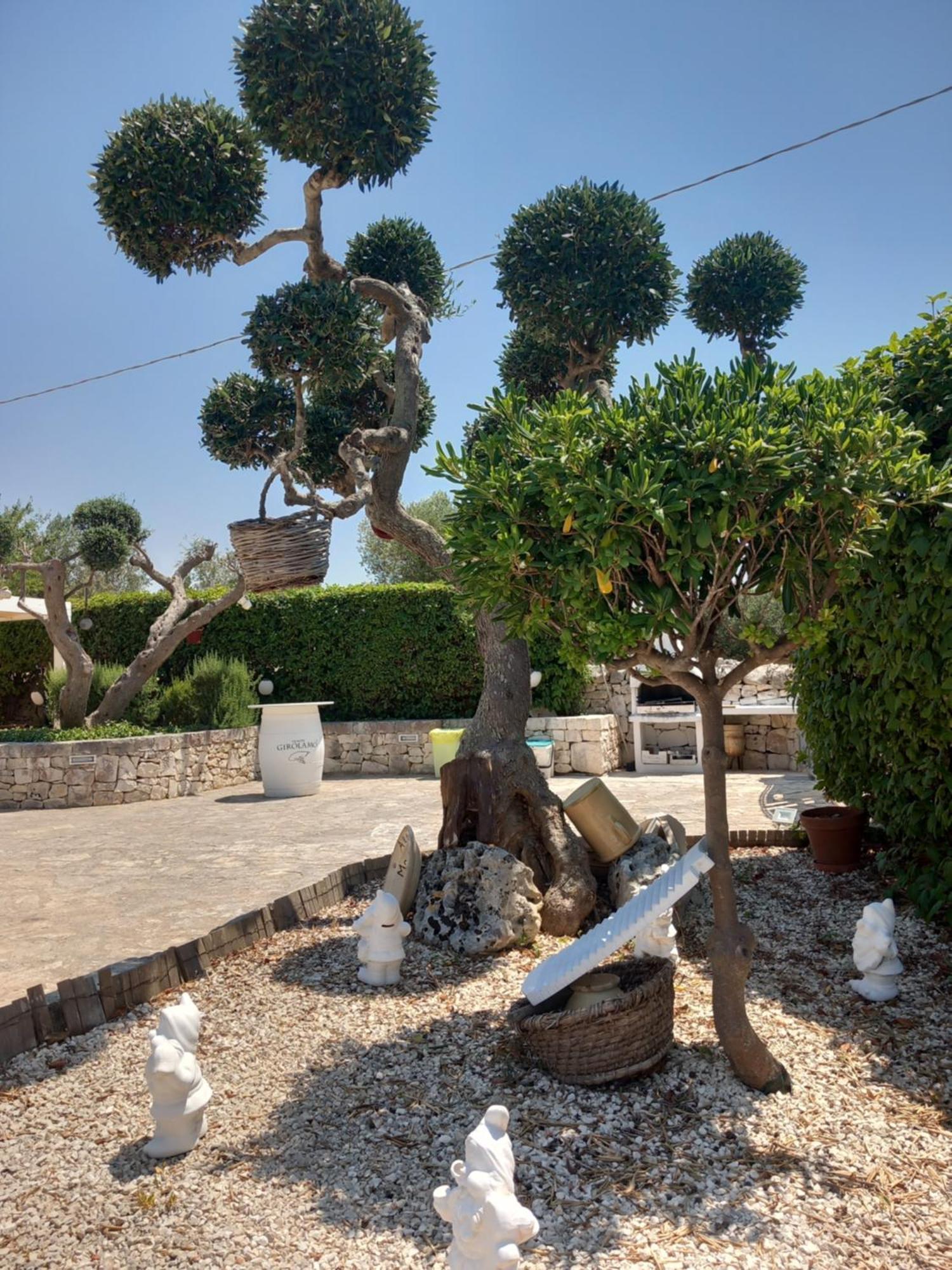 Trullo Monte Del Sale Konuk evi Alberobello Dış mekan fotoğraf