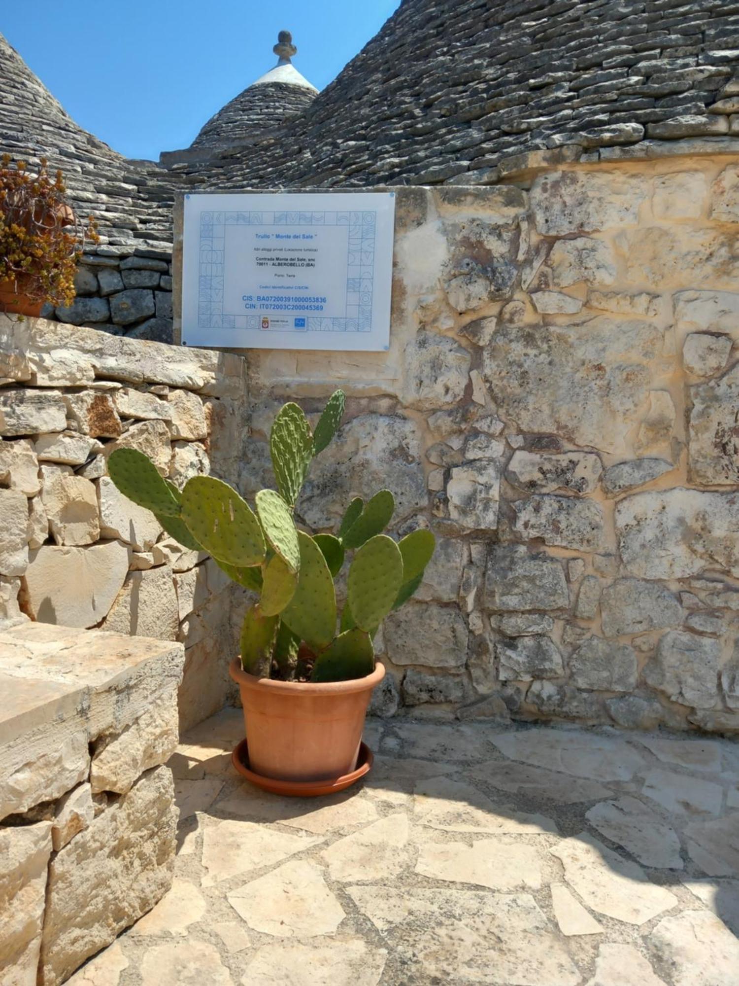 Trullo Monte Del Sale Konuk evi Alberobello Dış mekan fotoğraf