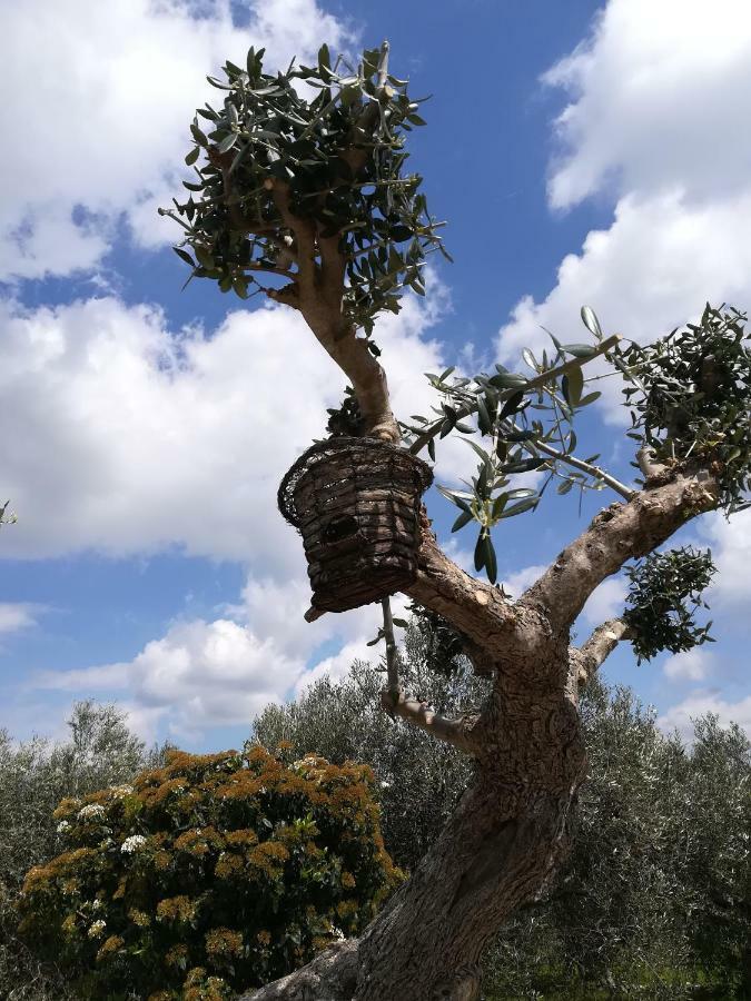 Trullo Monte Del Sale Konuk evi Alberobello Dış mekan fotoğraf