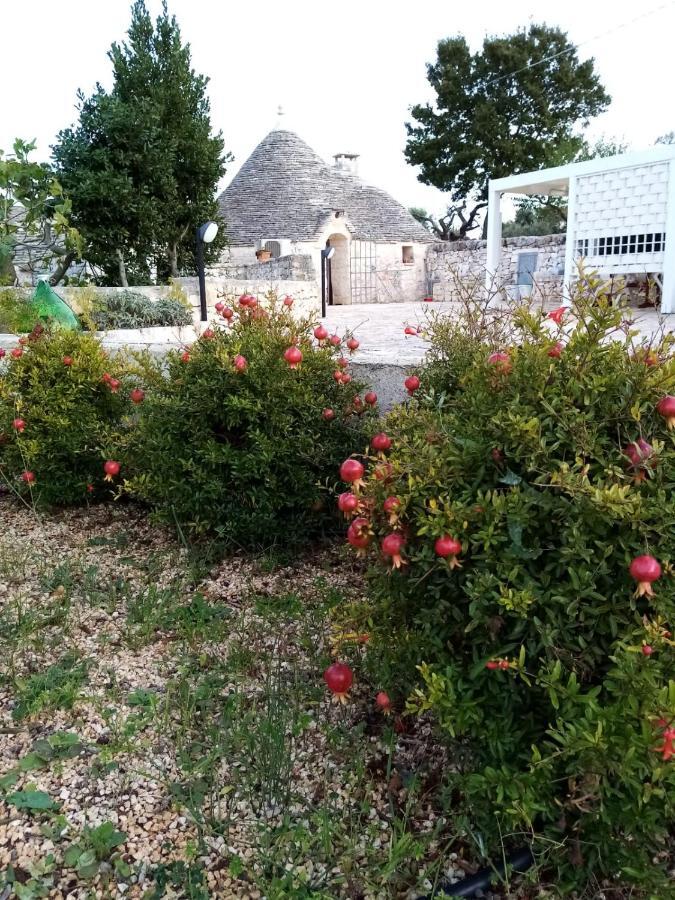 Trullo Monte Del Sale Konuk evi Alberobello Dış mekan fotoğraf